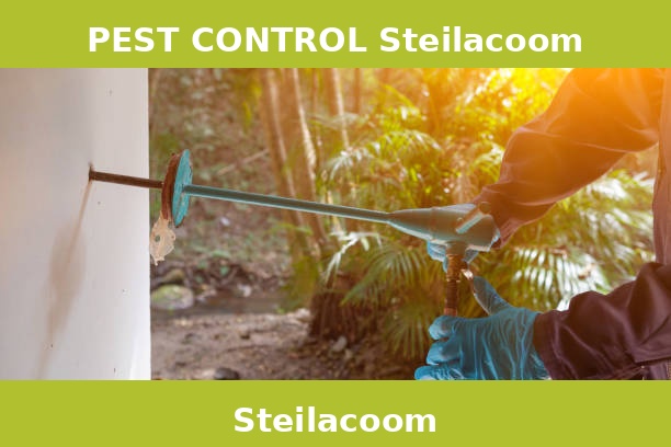 PEST CONTROL Steilacoom